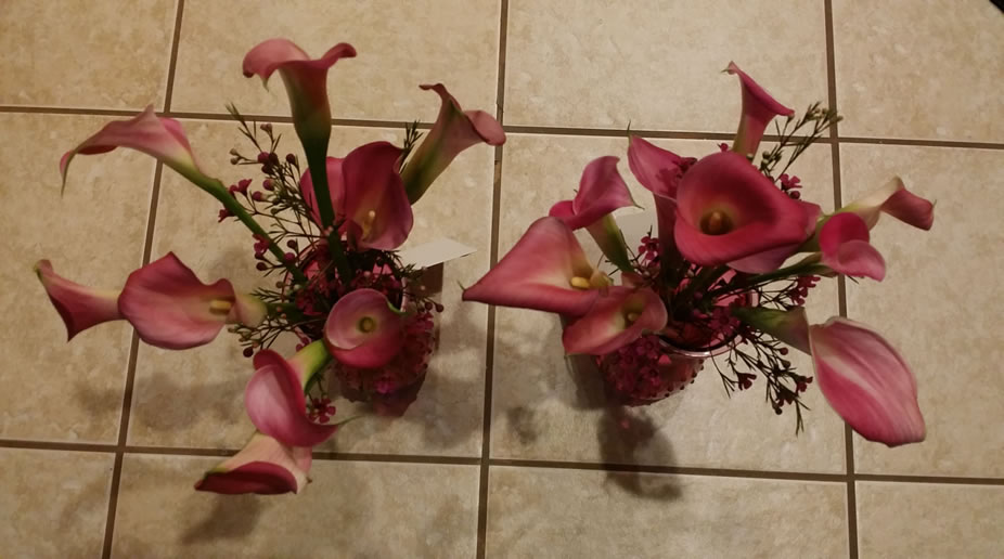 Dark Pink Calla Lily Red Berry